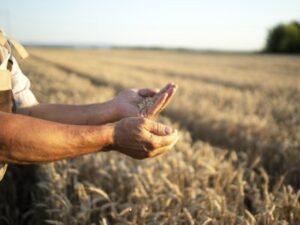 Conheça nossa história